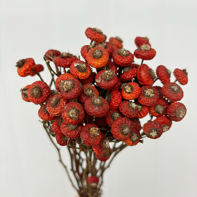 Dried Flower Bulk - 10 sztuk/pęczek Suszone kwiaty i jagody