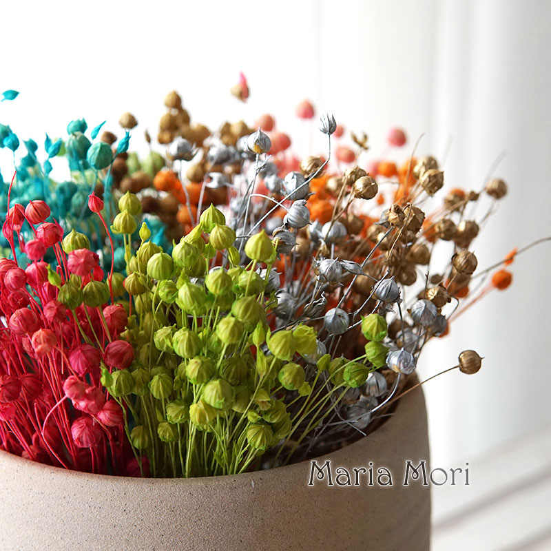 Dried Flower Bulk - 5g Konserwowane Fasola Lniana Naturalne Prawdziwe