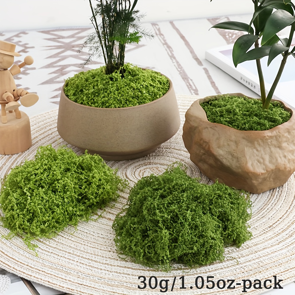 1 paczka sztuczny sztuczny mec – Terrarium Moss Art recenzja i cena