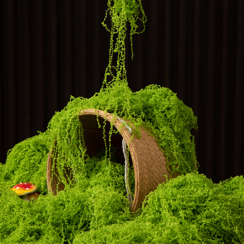 200g Mech Wiecznego Życia DIY  – Terrarium Moss Art recenzja i cena