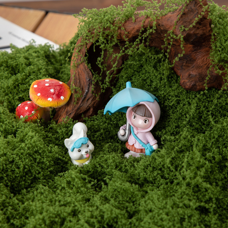 200g Mech Wiecznego Życia DIY  – Terrarium Moss Art recenzja i cena