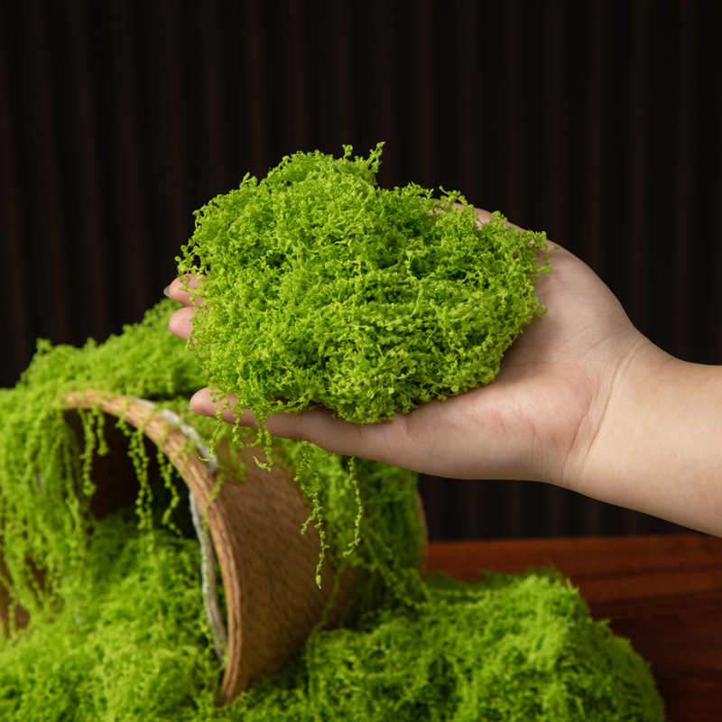 200g Mech Wiecznego Życia DIY  – Terrarium Moss Art recenzja i cena