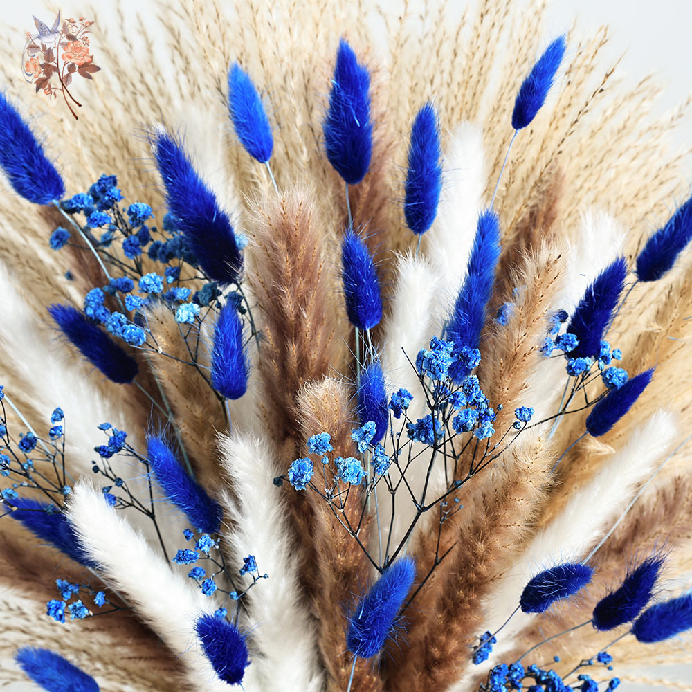 70 Gałązek Niebieskiego Puszys – Dried Flower Bulk recenzja i cena