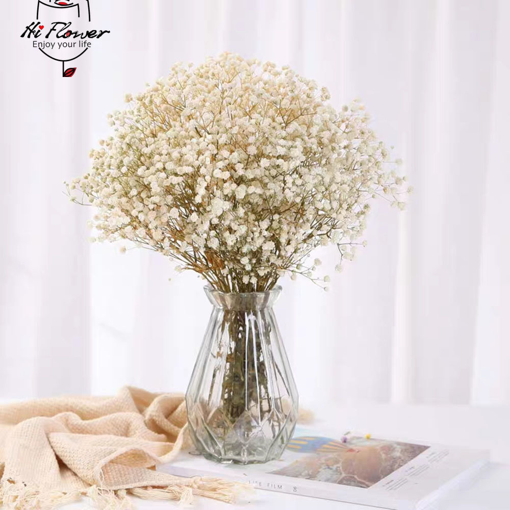 Naturalne suszone kwiaty konse – Dried Flower Bulk recenzja i cena