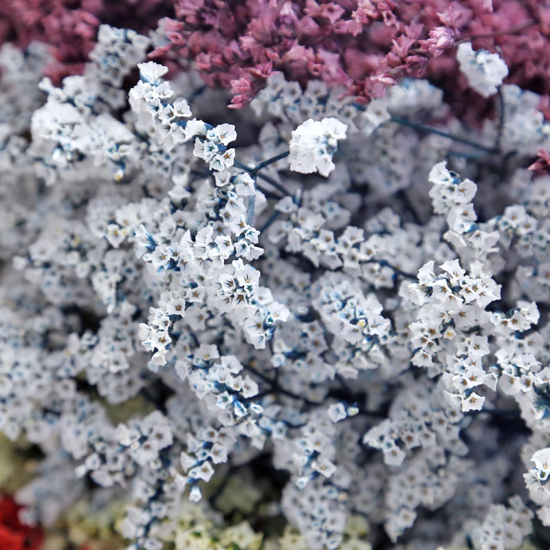 Naturalne świeże suszone zakon – Dried Flower Bulk recenzja i cena