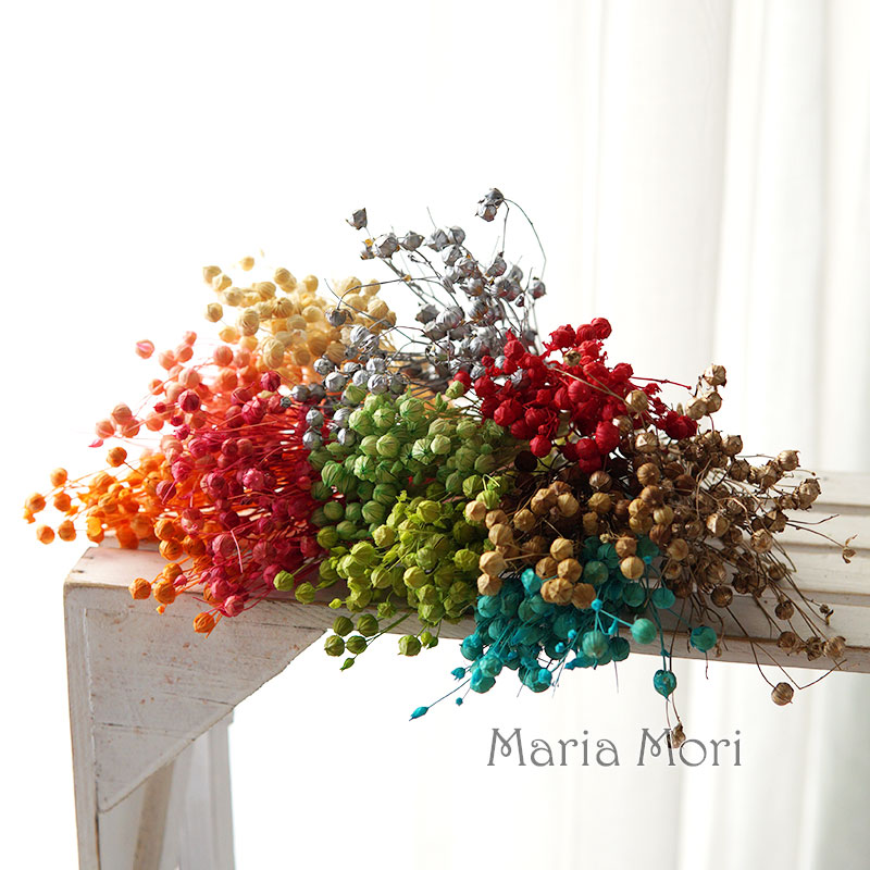 5g Konserwowane Fasola Lniana  – Dried Flower Bulk recenzja i cena
