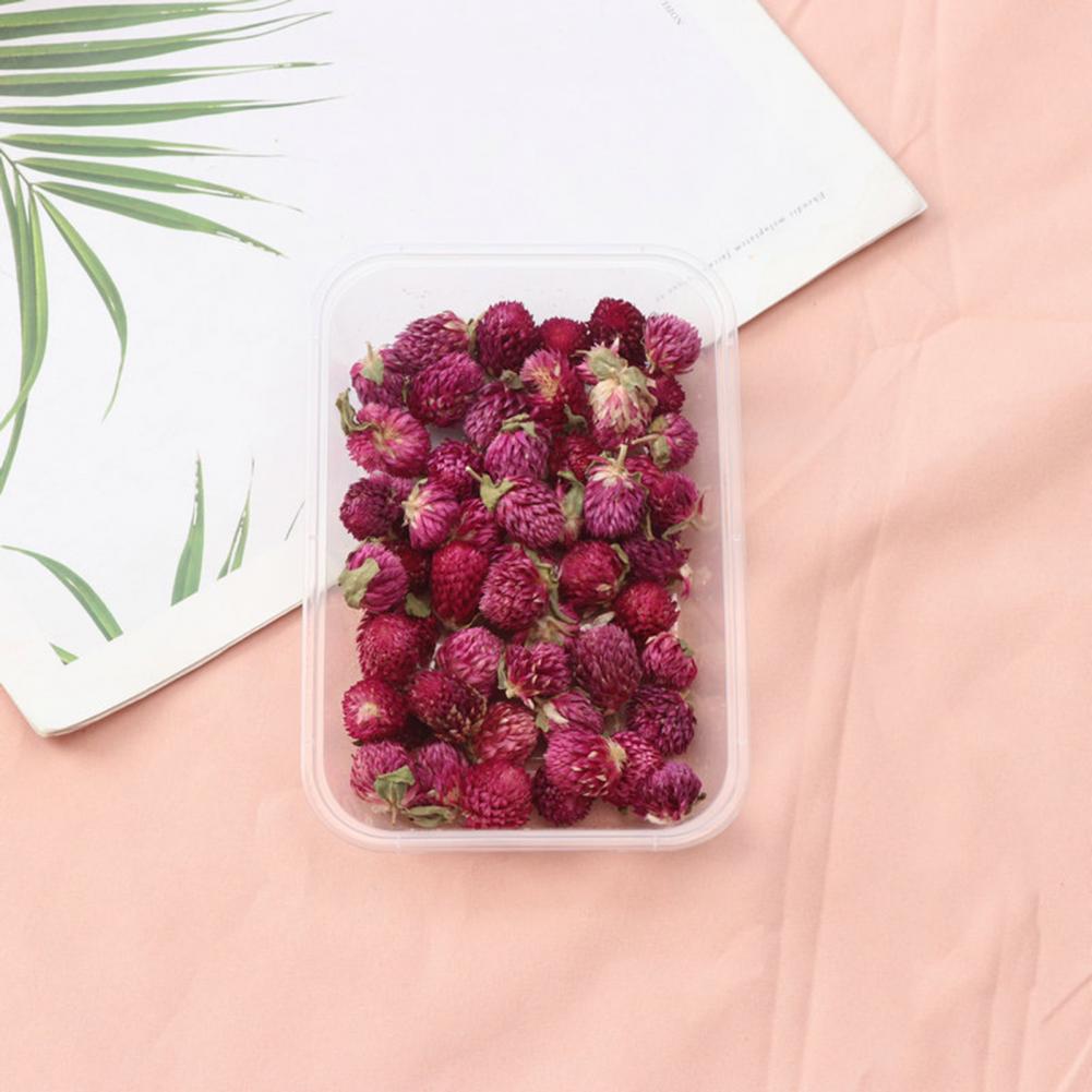 Naturalne kwiaty Zestaw suszon – Dried Flower Bulk recenzja i cena