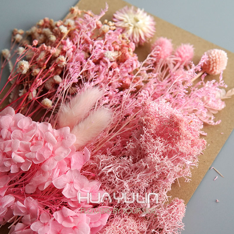 1 opakowanie sztuczne rośliny  – Dried Flower Bulk recenzja i cena