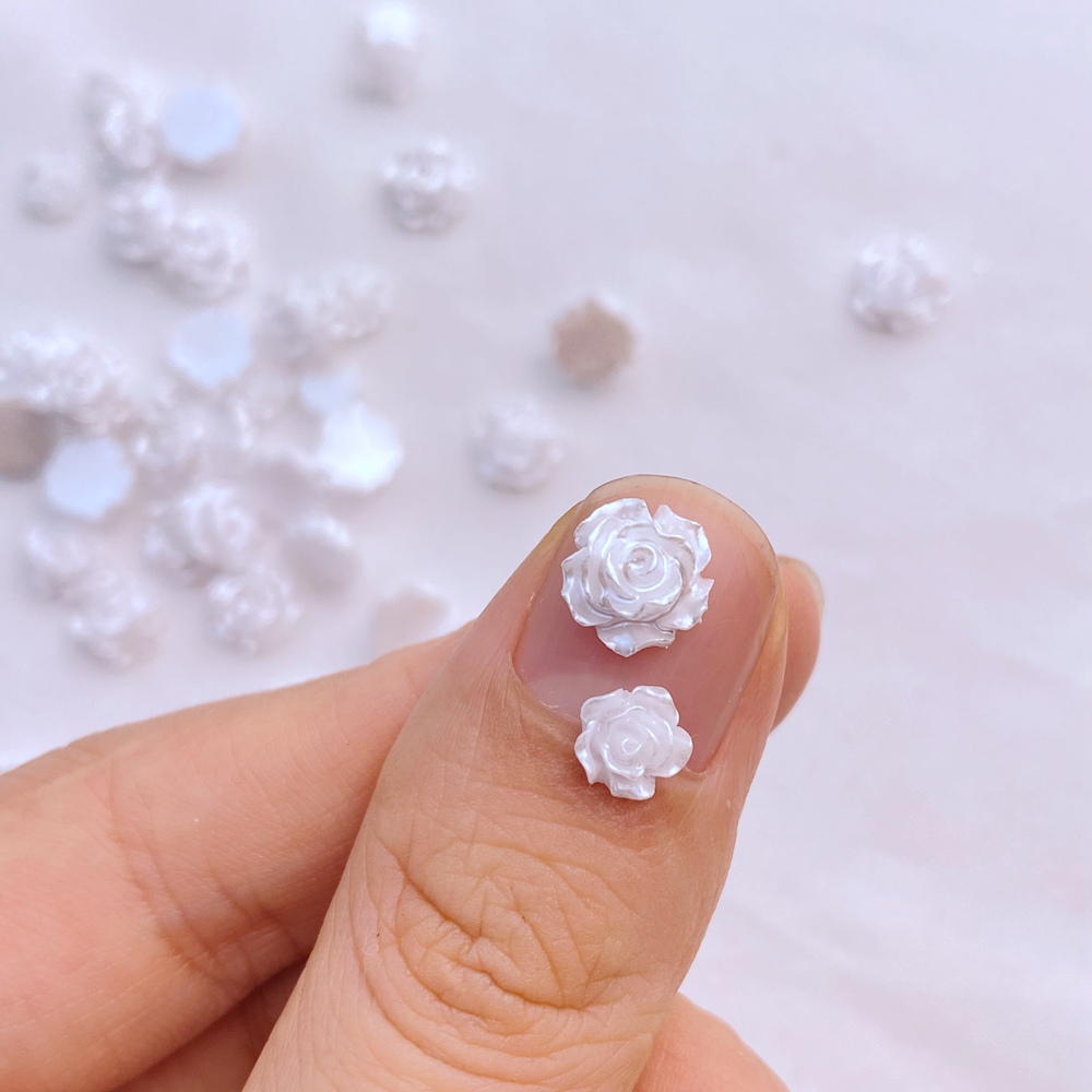 100 szt. Nowy uroczy Mini 5mm/ – Flower Preservation Resin recenzja i cena