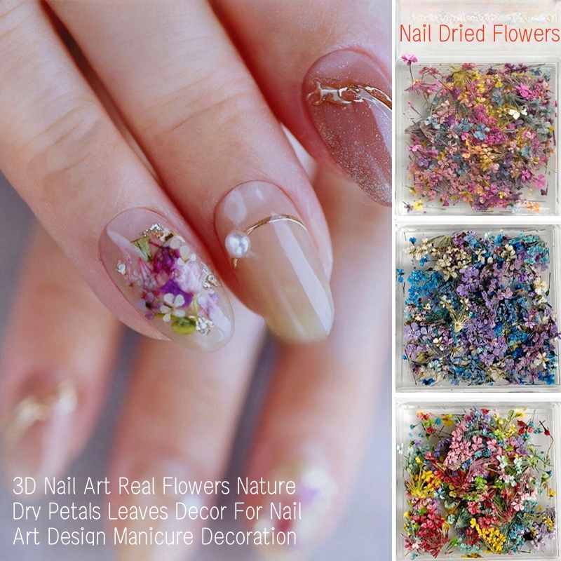 Mieszane małe suszone kwiaty N – Dried Flower Bulk recenzja i cena