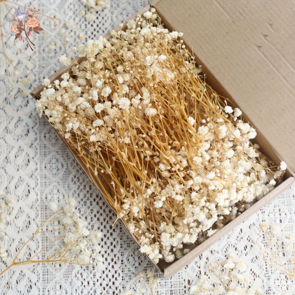 100 szt. Mini Suszone Kwiaty G – Dried Flower Bulk recenzja i cena