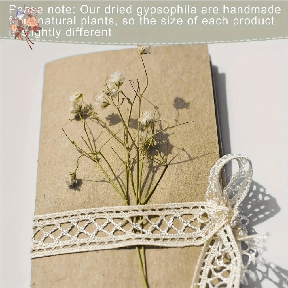 100 szt. Mini Suszone Kwiaty G – Dried Flower Bulk recenzja i cena